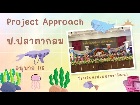 ProjectApproach“ป.ปลาตากลม