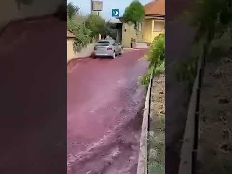 Río de vino tinto inundó las calles de una ciudad portuguesa