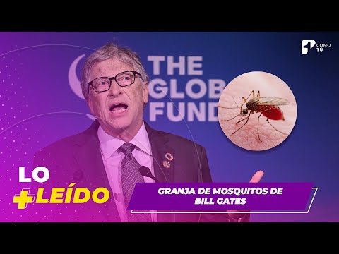 La granja de mosquitos de Bill Gates | Canal 1