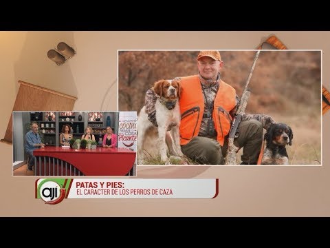 Patas y pies: El carácter de los perros de caza