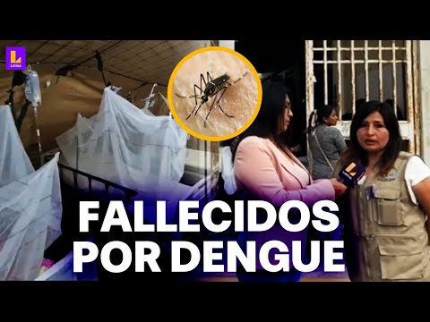 Ocho muertos por dengue en Ancash: Estas son las medidas para combatir la enfermedad en la región