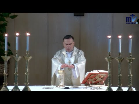 La Santa Misa de hoy | Conversión de San Pablo, Apóstol | 25-01-2024 | P. Javier Martín, FM