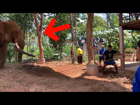 ทำไม❓ต้องมาเยอะ❗️ขนาดนี้พลายหน ทำไม❓ต้องมาเยอะ❗️ขนาดนี้พลายหน