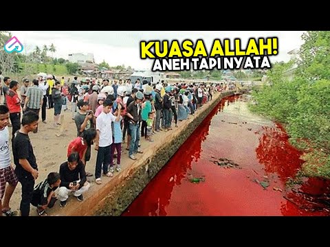 WARGA SEKITAR KEHERANAN MELIHATNYA! Inilah 10 Fenomena Alam Langka yang Terjadi di Indonesia