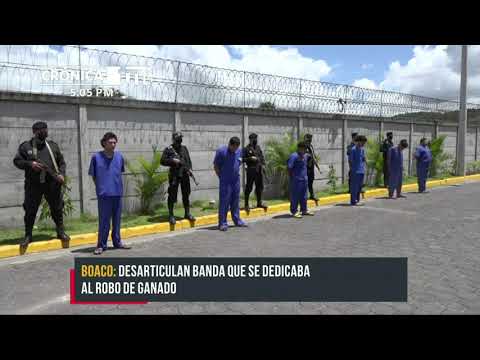 Cae banda delincuencial «El Chino» por delito de abigeato en Boaco - Nicaragua