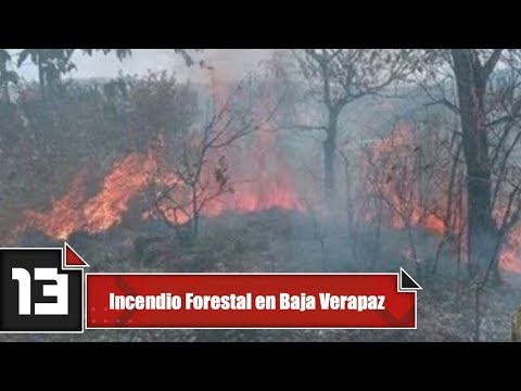 Incendio Forestal en Baja Verapaz