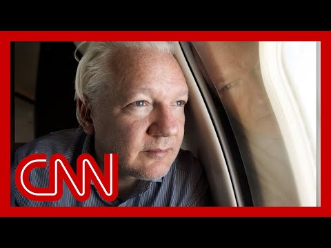 Julian Assange released after striking plea deal with US