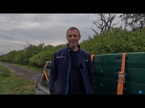 Hab mich verrechnet. Noch mehr Schwarmkontrolle - Longplay.