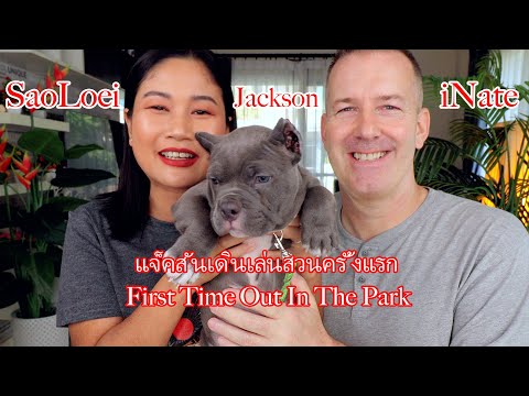 SaoLoei   iNate แจ็คสันเดินเล่นสวนครั้งแรกJacksonsFirstWalkInThePark!!