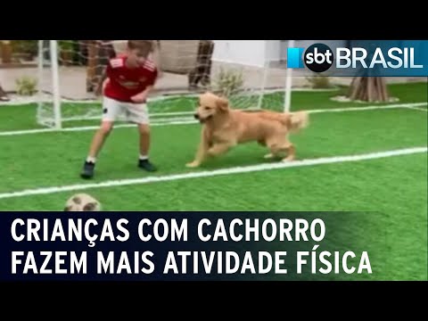 Estudo aponta que crianças com cachorro em casa fazem mais atividade física | SBT Brasil (06/02/24)
