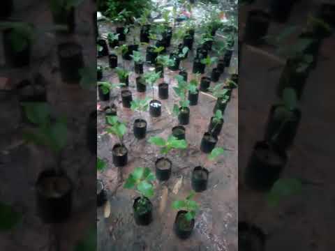 อัพเดตให้เพื่อนๆชมกันครับใครท