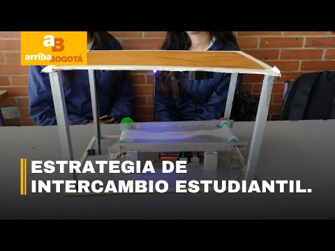 Estudiantes de grados 10 y 11 podrán elegir colegio para su énfasis de bachiller | CityTv