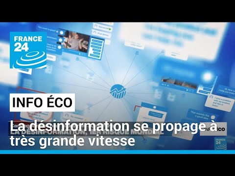 La désinformation se propage à très grande vitesse • FRANCE 24