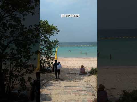 ทางเดินลงหาดตายายเที่ยวไทยสนุ