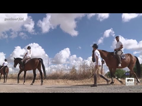 Los caballos también siguen su rutina | Ancha es Castilla-La Mancha