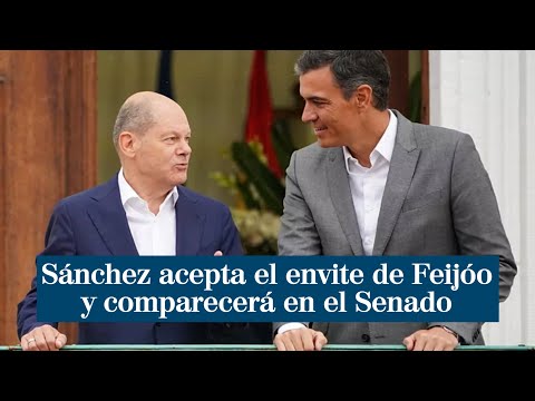 Sánchez acepta el envite de Feijóo y comparecerá en el Senado