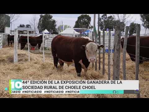 Weretilneck presente en la apertura de la Exposición Ganadera de la Sociedad Rural de Choele Choel