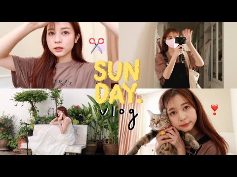 🍫-sunday-vlog.-1-วันพักผ่อนทำอ 🍫-sunday-vlog.-1-วันพักผ่อนทำอ