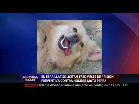 Solicitan tres meses de prisión preventiva contra acusado de matar perra parida en Espaillat