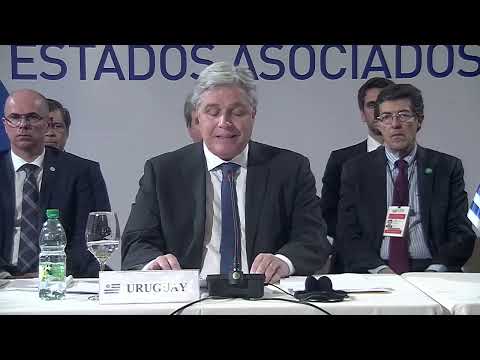 Palabras del ministro de Relaciones Exteriores de Uruguay, Francisco Bustillo