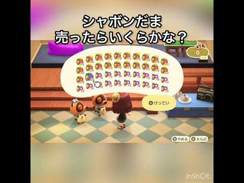 【あつ森】シャボン玉大量に売ったらいくらかな? #vlog #あつ森 #あつまれどうぶつの森 #こはくちゃんねる2424 #毎日更新