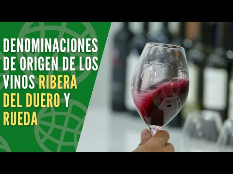 Conoce sobre las Denominaciones de Origen de los vinos Ribera del Duero y Rueda
