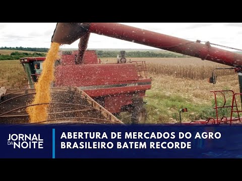 Brasil abre 72 mercados no agronegócio em 30 países