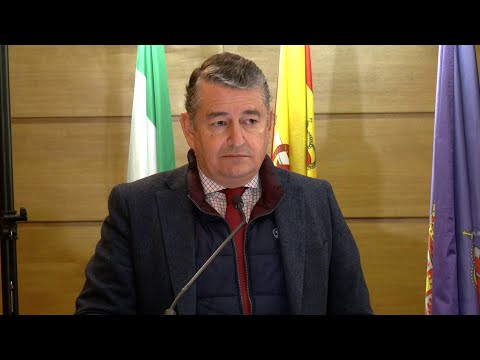 Sanz defiende que la consejera de Salud cuenta con el respaldo total del Gobierno andaluz
