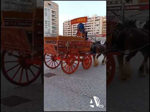 El coche de caballos de Cervezas Ambar pasea por los alrededores del Auditorio de Zaragoza