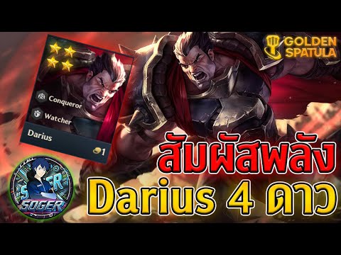 GoldenSpatula:Darius4ดาว