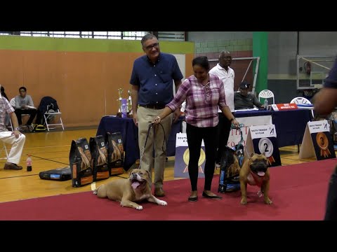 South Trinidad K-9 Club's Anniversary Dog Show