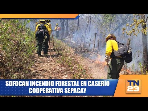 Sofocan incendio forestal en caserío cooperativa Sepacay