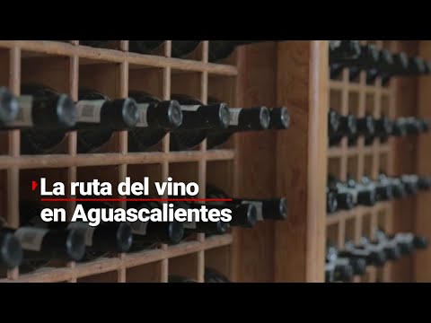 LEVANTEN LAS COPAS | Así presentaron la ruta del vino