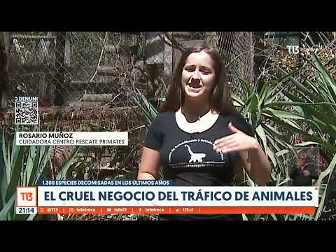 El cruel negocio del tráfico de animales