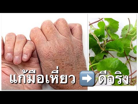 มือแก่-มือย่น-มือเหี่ยว-|-How- มือแก่-มือย่น-มือเหี่ยว-|-How-