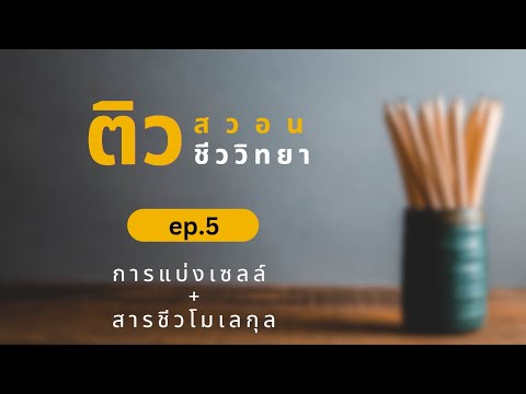 ติวฟรีสอวนชีวะ(ep5):การแบ