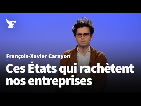 François-Xavier Carayon : «Nos PME sont rachetées discrètement par des puissances étrangères»