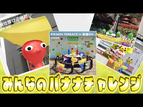 Pikmin Bloom！ポストカードが進化した！バナナチャレンジみたいな映えポスカをじっくり見る！ピクミンブルーム