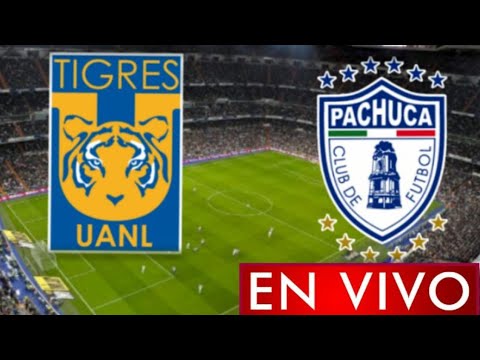 Donde ver Tigres vs. Pachuca en vivo, por la Jornada 14, Liga MX 2021