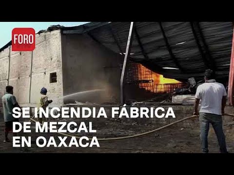 Fábrica de mezcal artesanal  en Oaxaca queda en cenizas tras incendio - Paralelo 23