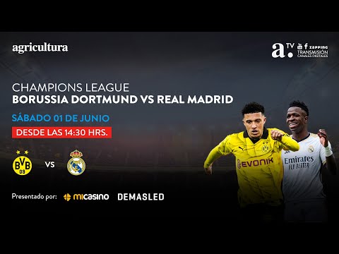 Borussia Dortmund vs Real Madrid - Champions League - Final - 01 junio 2024