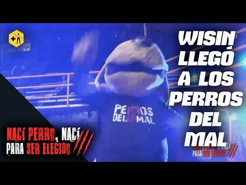 Wisin llegó a la Copa de los Perros del Mal