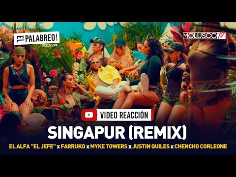 #VideoReaccion Singapur Remix El Alfa, Farru, M Towers, Justin Quiles, Chencho Corleone #ElPalabreo