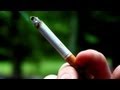 Hartmann vs. Motley - Can Big Tobacco Lie To Us?
