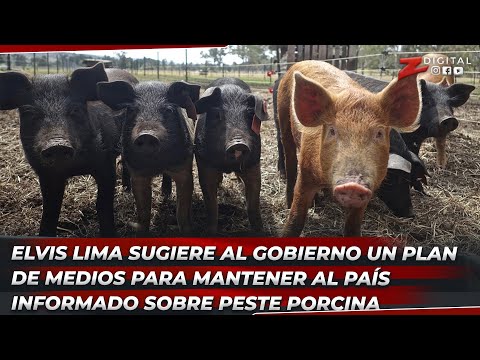 Elvis Lima sugiere al Gobierno un plan de medios para mantener al país informado sobre peste porcina