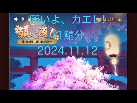 【放置少女】20241112月半ばの《願い返し》休眠鯖(11鯖分)の願い返ししていくよー！可もなく不可もなくε-(`･ω･´)ﾌﾝｯ