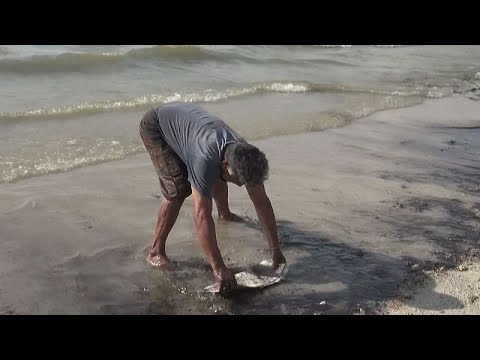 Los ecologistas denuncian un vertido de petroleo en la costa del Golfo de México