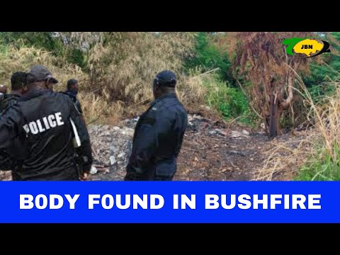 B0DY Found In Bushfire Might Be Missing Security Guard/JBNN
