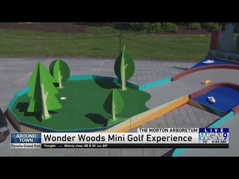 Around Town - Wonder Woods Mini Golf
