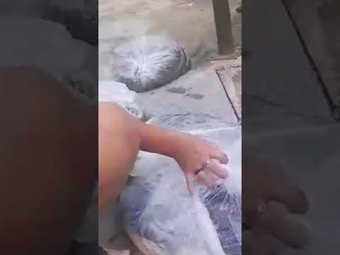 ปล่อยปลา-ทำทานต่อชีวิตให้พวกเจ ปล่อยปลา-ทำทานต่อชีวิตให้พวกเจ